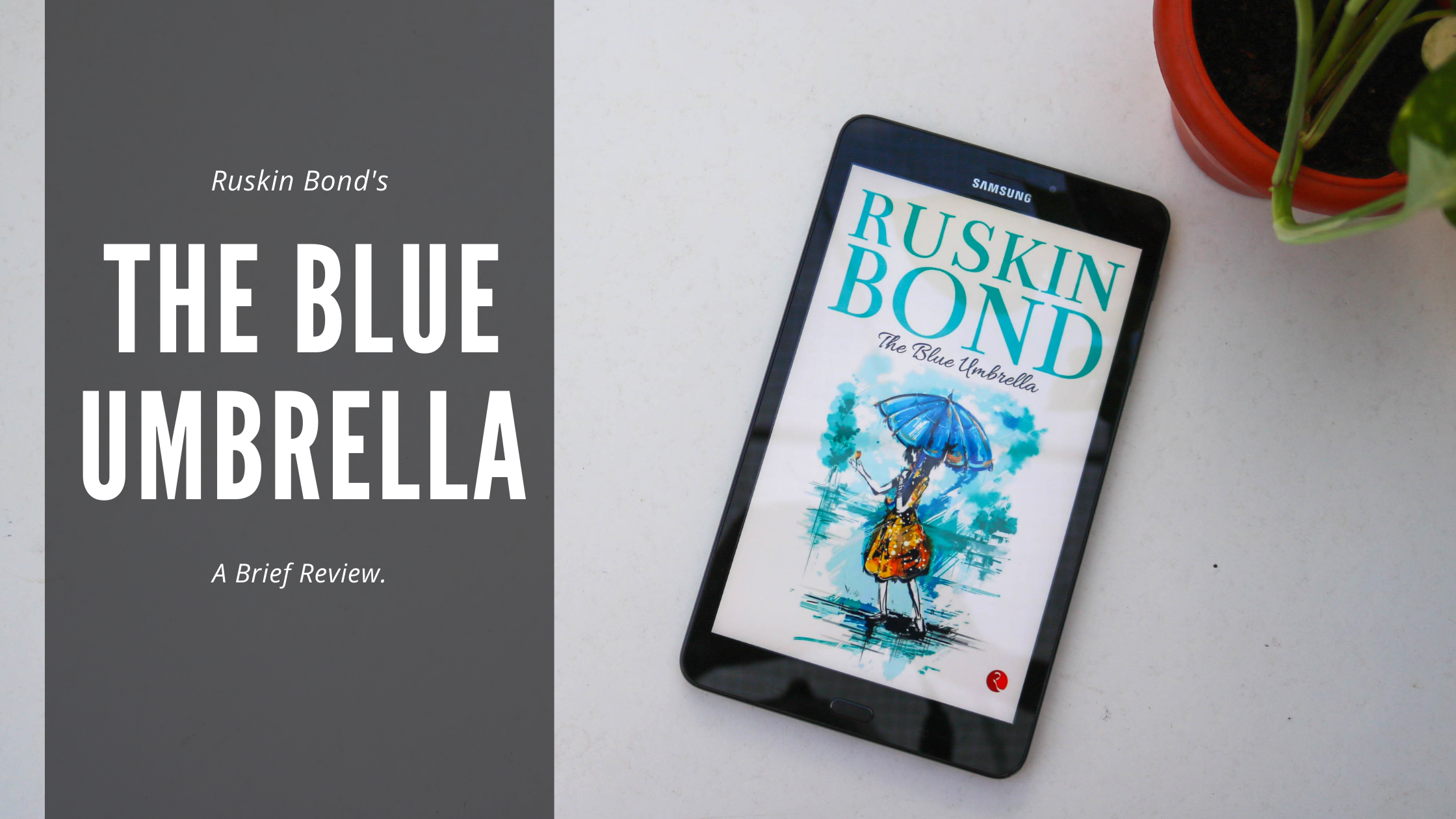 book review of blue umbrella